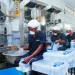 Ghana’s Sachet and Packaged Water Producers Call for Review of Excise Tax on Plastic Packaging