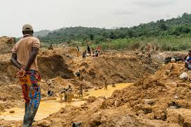 NAIMOS Swoops, Rescues Forest Reserves From Galamseyers
