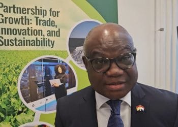 Visa Refusals Hindering Ghana-Netherlands Business Development – Ambassador Kotia