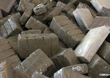Spain Dismantles Two Hashish Trafficking Networks with Morocco’s Collaboration