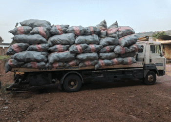 Volta Police Destroy Ghc4.2bn worth of Indian Hemp