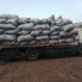Volta Police Destroy Ghc4.2bn worth of Indian Hemp