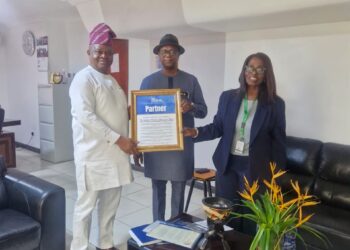 Nigerian Diplomat Honored for Role in Landmark Pan-African Summit