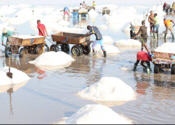 Electrochem Need 1,500 to employ for salt mining “
