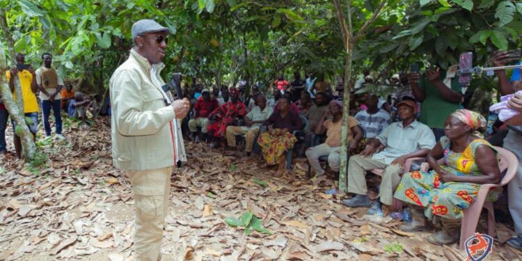 Minority Takes Cocoa Fight To Central Region 