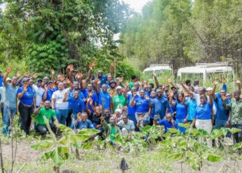 Stanbic Bank Intensifies Climate Action with 50,000 Tree Planting Initiative