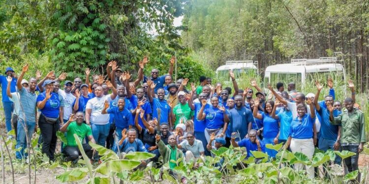 Stanbic Bank Intensifies Climate Action with 50,000 Tree Planting Initiative