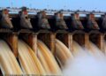 Bagre Dam Spillage: Why Ghana Keeps Being Surprised by What It Already Knows