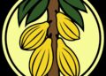 COCOBOD SETTLES GH¢2.3 BILLION, COMPLETES 2026 DDEP BOND OBLIGATIONS