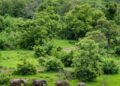 Off the Map: How Travel Influencers Can Put a Spotlight On Ghana’s Hidden Tourism Gems