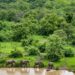 Off the Map: How Travel Influencers Can Put a Spotlight On Ghana’s Hidden Tourism Gems